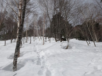 250330DSC01562.JPG