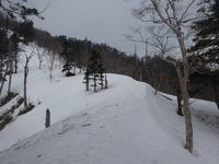 250330DSC01583.JPG