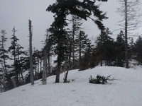 250330DSC01613.JPG