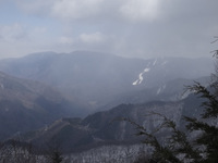 250330DSC01654.JPG