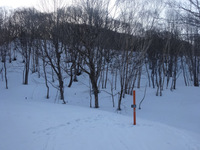 250405DSC01704.JPG