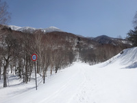 250405DSC01859.JPG
