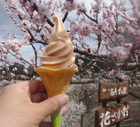 250406DSC01881a.JPG
