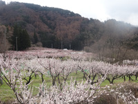 250406DSC01888.JPG