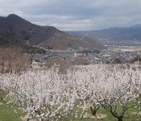 250406DSC01891a.JPG