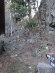250409DSC01945.JPG