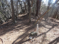 250409DSC01969.JPG