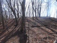 250409DSC01986.JPG