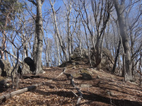 250409DSC01993.JPG