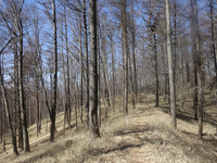 250409DSC02050.JPG