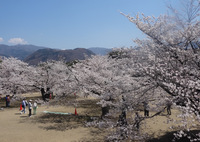 250412DSC02152.JPG