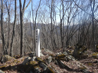 250416DSC02205.JPG