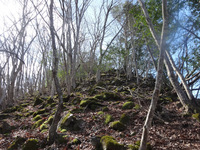 250416DSC02245.JPG