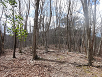 250416DSC02266.JPG