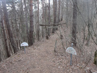 250416DSC02271.JPG