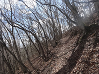250416DSC02277.JPG