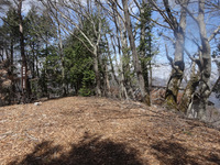 250416DSC02290.JPG