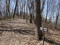 250421DSC02371.JPG