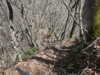 250421DSC02487.JPG