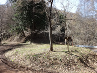 250421DSC02507.JPG