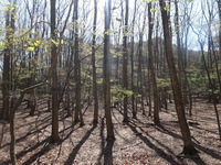 250426DSC02557.JPG