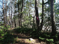 250426DSC02577.JPG