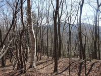 250426DSC02595.JPG