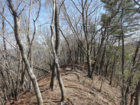 250426DSC02596.JPG
