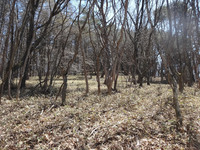 250426DSC02630.JPG