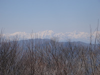 250426DSC02655a.JPG