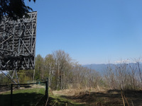 250426DSC02705.JPG