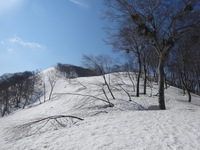 250430DSC02775.JPG