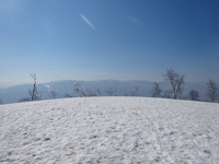250430DSC02789.JPG