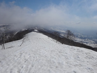 250430DSC02861a.JPG