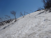 250508DSC03071.JPG