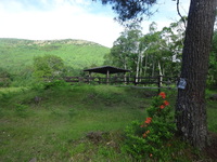 250622DSC03188.JPG