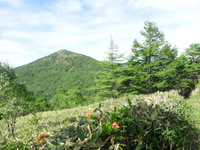 250622DSC03230.JPG
