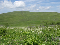 250629DSC03436.JPG