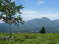 250629DSC03447.JPG