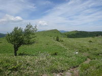 250629DSC03464.JPG