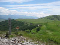 250629DSC03473.JPG