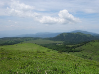 250629DSC03479.JPG
