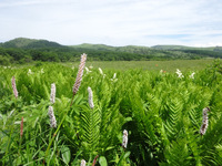 250629DSC03518.JPG