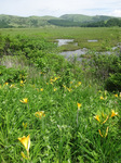 250629DSC03526.JPG